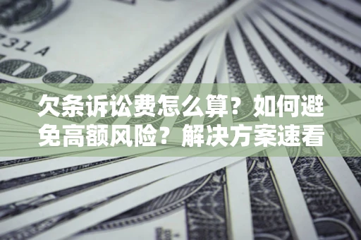 济南欠条诉讼费怎么算？如何避免高额风险？解决方案速看！