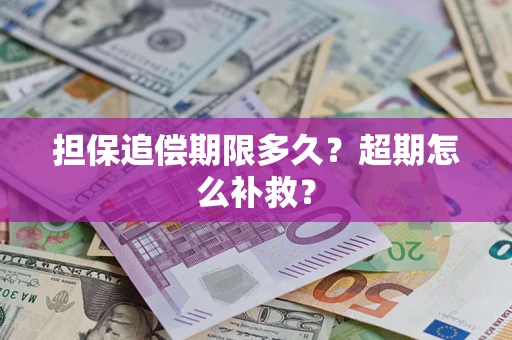 济南担保追偿期限多久？超期怎么补救？